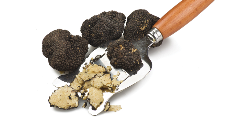 TRUFFLE PRODUCTS
